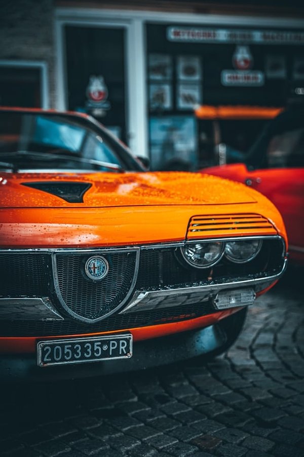 How to Protect Your Alfa Romeo Giulia's Paint from Winter Road Salt Damage?