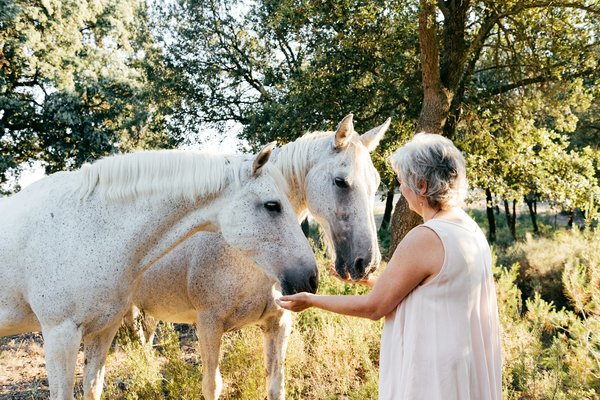 What Design Principles Should Be Considered to Maximize Daylight in Urban Dwellings?